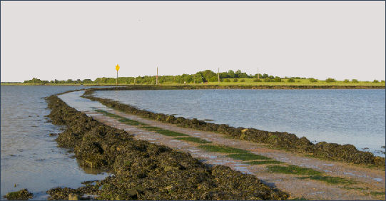 maldon_2